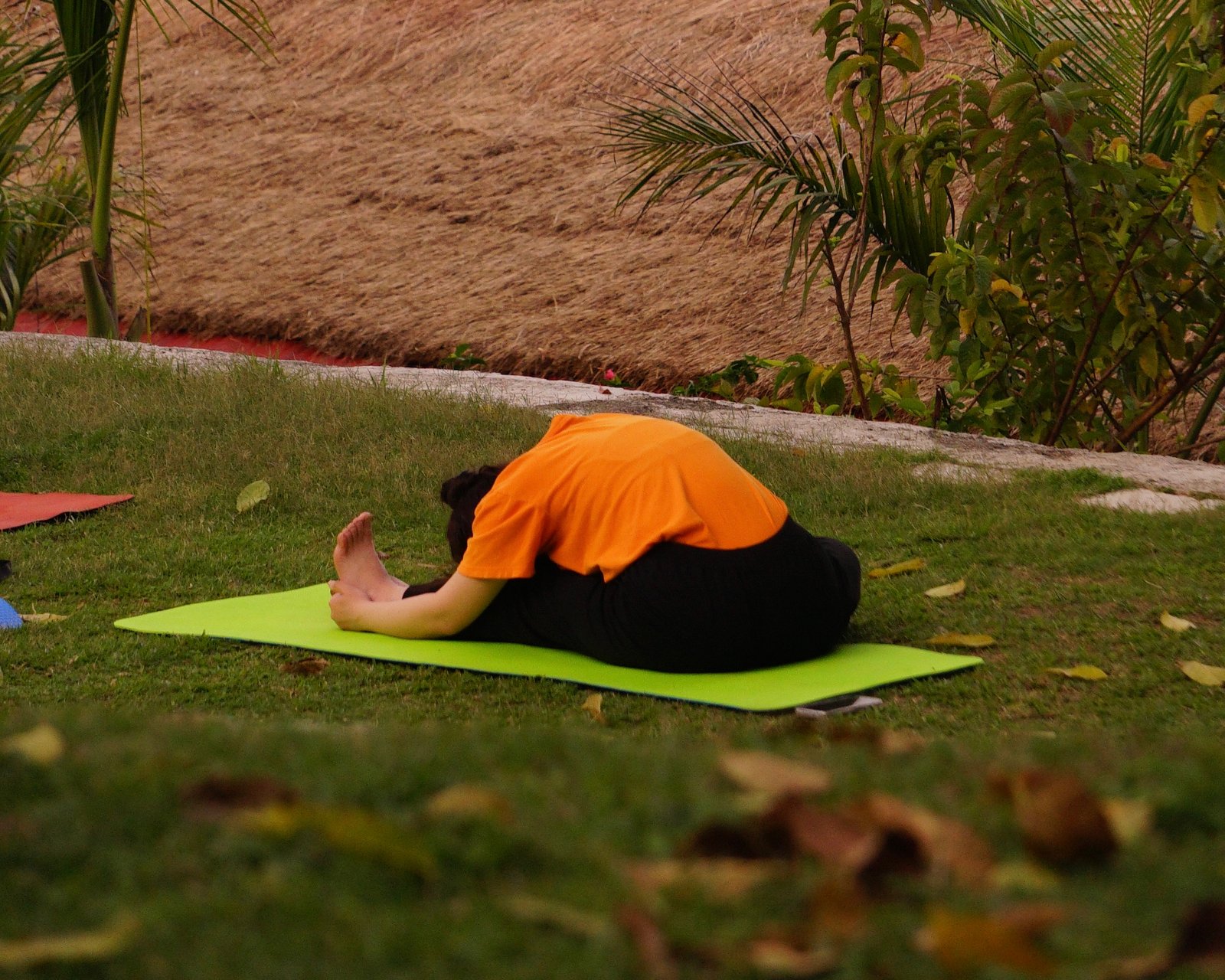 50hr Yin Yoga Teacher Training Course